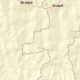 Brăeşti Street Map
