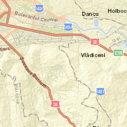 Dancu Street Map