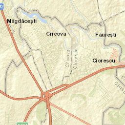 Cricova Street Map