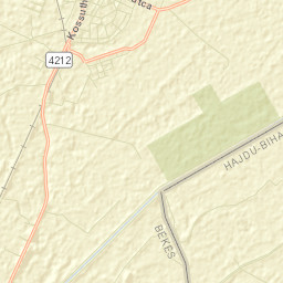 Füzesgyarmat Street Map