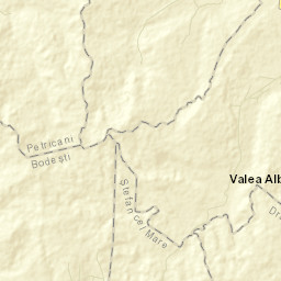 Ţibucani Street Map