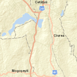 Ciurea Street Map