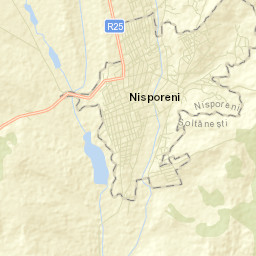 Nisporeni Street Map
