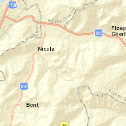 Fizeşu Gherlii Street Map