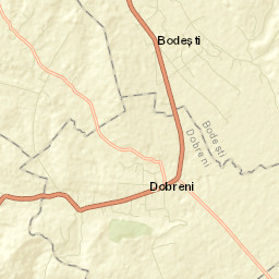 Negrești Street Map