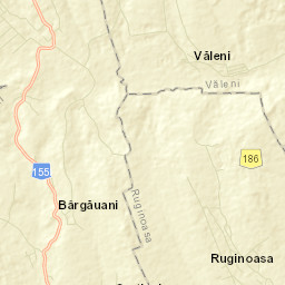 Ruginoasa Street Map