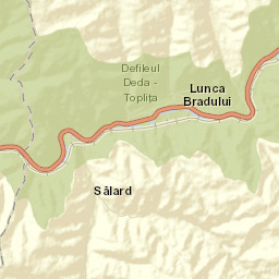 Lunca Bradului Street Map