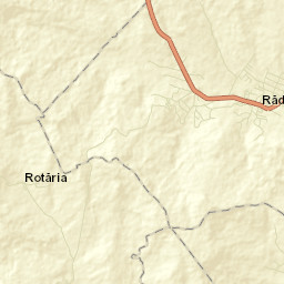 Răducăneni Street Map