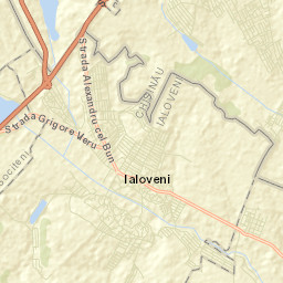 Ialoveni Street Map