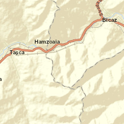 Bicaz Street Map