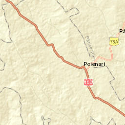 Poienari Street Map