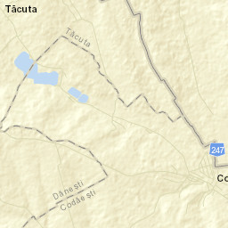 Comuna Codăeşti Street Map