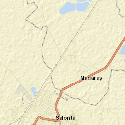 Municipiul Salonta Street Map