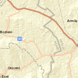 Băceşti Street Map