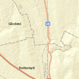 Vultureşti Street Map