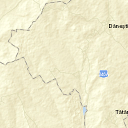 Dăneşti Street Map