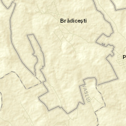 Brădicești Street Map