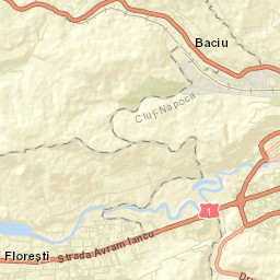 Baciu Street Map