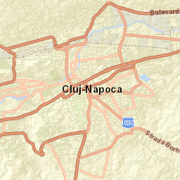 Cluj-Napoca Street Map