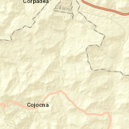 Cojocna Street Map