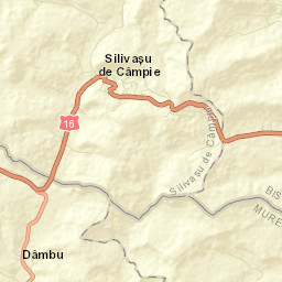 Silivașu de Câmpie Street Map