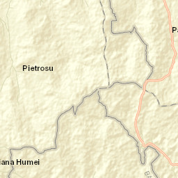 Comuna Oniceni Street Map