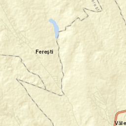 Ferești Street Map