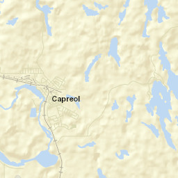Capreol Street Map