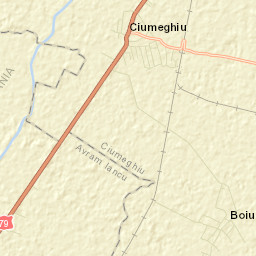Ciumeghiu Street Map