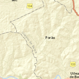 Uileacu de Beiuș Street Map