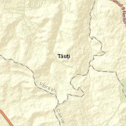 Comuna Floreşti Street Map