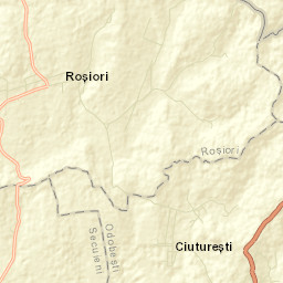 Roşiori Street Map