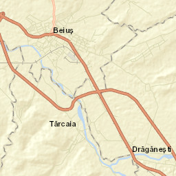 Beiuş Street Map