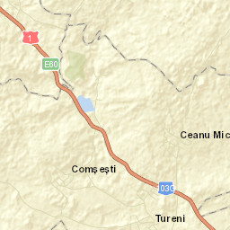 Tureni Street Map