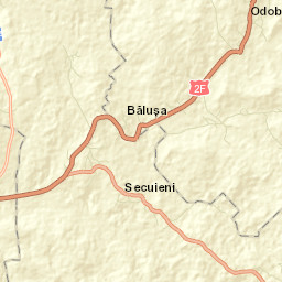 Secuieni Street Map