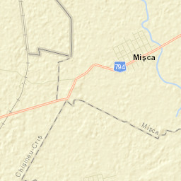 Mișca Street Map