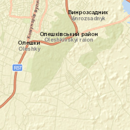 Tsyurupyns’k Street Map