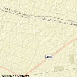 Medgyesegyháza Street Map