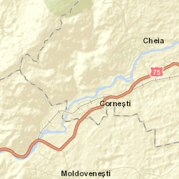 Moldoveneşti Street Map