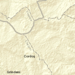 Linț Street Map