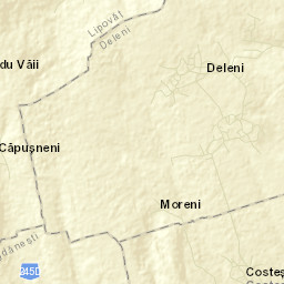 Comuna Deleni Street Map