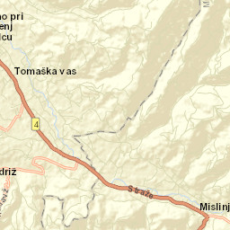 Mislinja Street Map