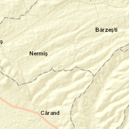 Cărand Street Map