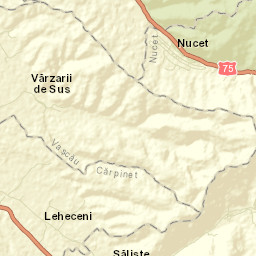 Nucet Street Map