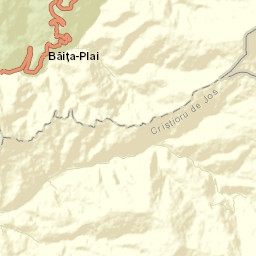 Oraş Nucet Street Map