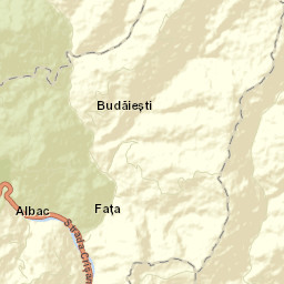 Albac Street Map