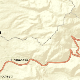 Nicolești Street Map