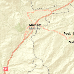 Municipiul Moineşti Street Map