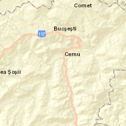 Bucșești Street Map