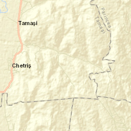 Comuna Tamaşi Street Map
